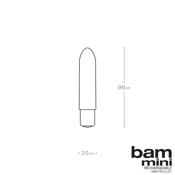 VeDO Bam Mini Bullet